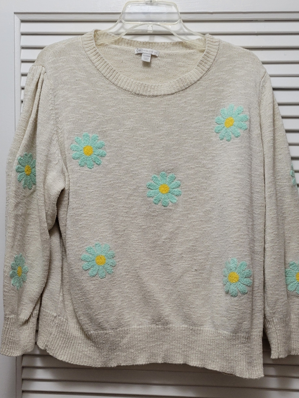 Daisy Floral Beige Knit Crew Neck Floral Embroidered Long Sleeve Sweater Women